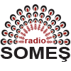 Radio Someș