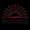 Radio Someș