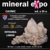 Orașul Cavnic, județul Maramureș, devine din nou capitala cristalelor la ediția a III-a a Mineral Expo Cavnic-Maramureș!