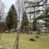 Primăria Sângeorz-Băi, județul Bistrița-Năsăud, relansează lucrările de modernizare a Parcului Stațiunii: alei noi, iluminat modern și zone de recreere!