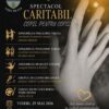 Comunitatea din Vișeu de Sus, Maramureș, se mobilizează pentru Andrei: spectacol caritabil „Copil pentru copil” la Casa de Cultură, vineri, 29 mai!