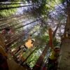 Sâmbătă se deschide sezonul aventurilor în Colibița! VEZI ce te așteaptă